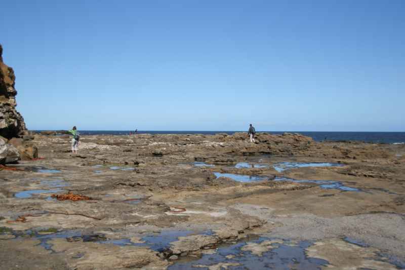 Nieuw-Zeeland 2011 - 1828